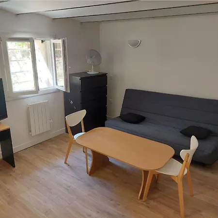 Studio 30m2 Refait A Neuf - Vue Et Acces Jardin - 500m Des Plages Et Zone Pietonne *