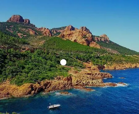 Studio 30m2 Refait A Neuf - Vue Et Acces Jardin - 500m Des Plages Et Zone Pietonne